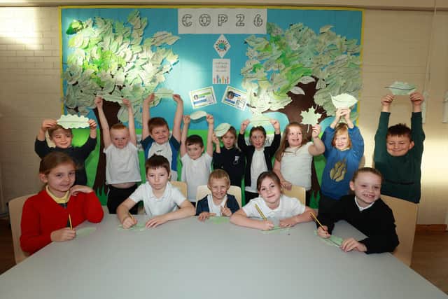 Pupils at Albany Village Primary School writing out their climate change pledges to go onto their COP26 tree display.

Photograph: Elliot Nichol Photography