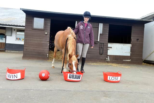 Yellow the psychic pony decided a draw will be the outcome of England's match on Sunday with horse rider Georgia Shaw.