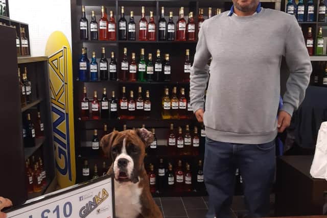Bruno the boxer pictured helping out at Ginka gin.