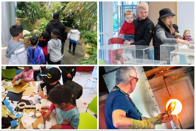 Activities include, clockwise from top left: a mini beast hunt, Discovery zoo, glass blowing demonstrations and Arty Wednesdays.