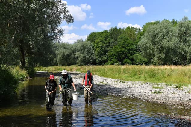 'Standing in a river' is one of the UK's most popular sports.