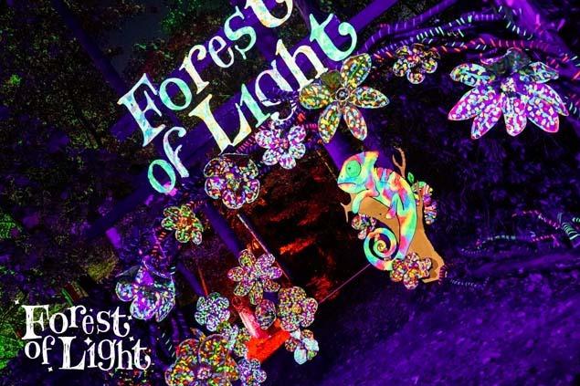 The popular Forest of Light returns to the grounds of Beamish Hall Hotel in County Durham with various dates throughout November and December 2023 and January 2024.
The woodland is filled with illuminations, music, interactive props, projections to dazzle and amaze with specially commissioned pieces for Forest of Light. Tickets are £12 per person, under 1's go free. Visit www.beamish-hall.co.uk/forest-of-light/ to book.