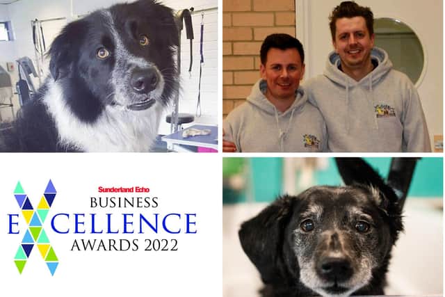 Woofs n Scruffs has been nominated for a Sunderland Echo Business Excellence Award.