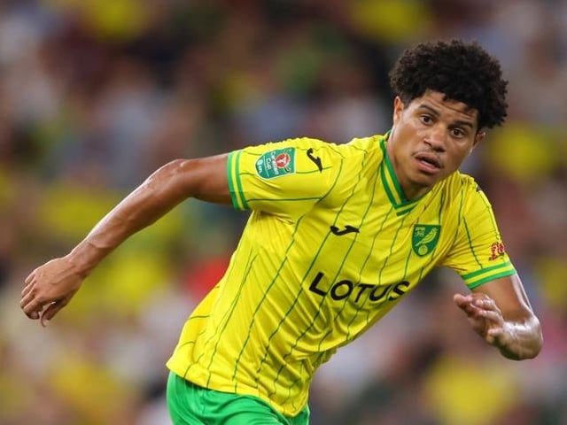 Norwich City have spent a reported £12.4million on transfers over the last two windows.