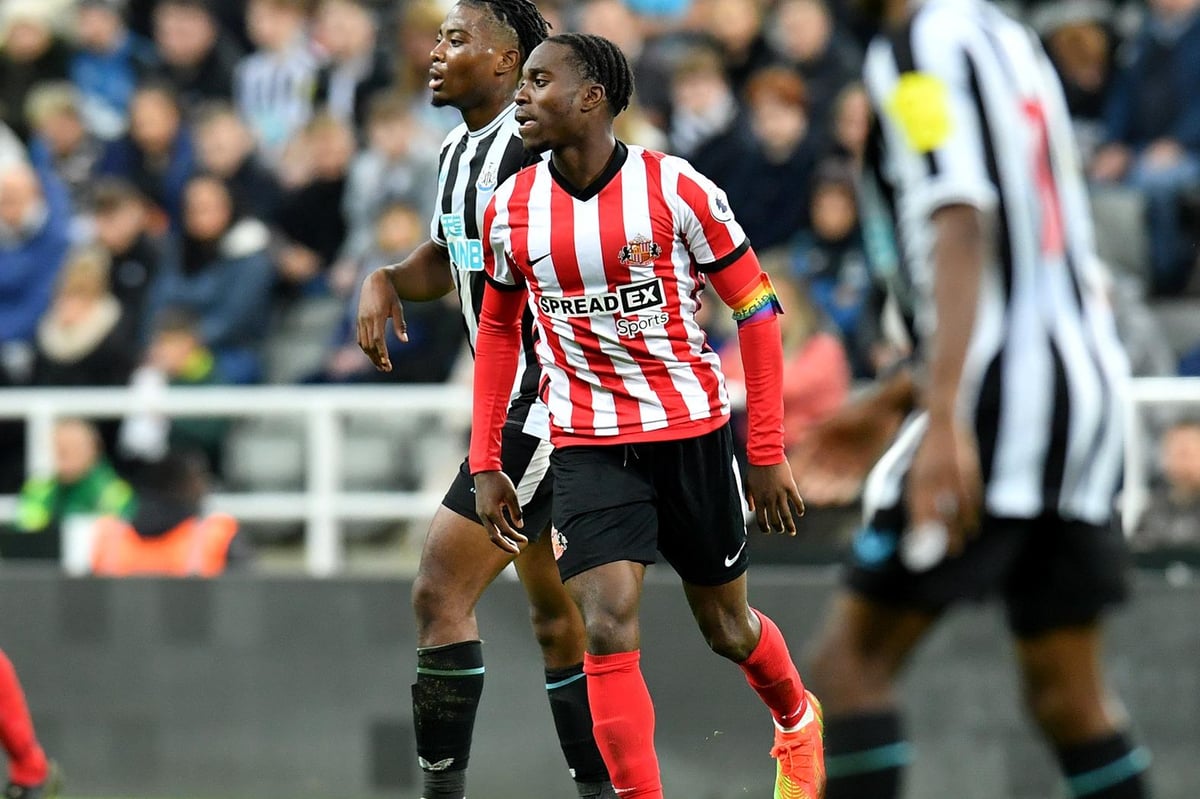 Sunderland supporters deliver majority transfer verdict on Jay Matete following Plymouth Argyle loan