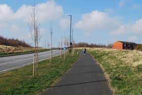 Hundreds of new trees have been planted across Sunderland with more to come.