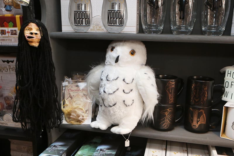 Need to send a letter? Don't worry the Harry Potter themed shop in Chapel-en-le-Frith has owls on sale