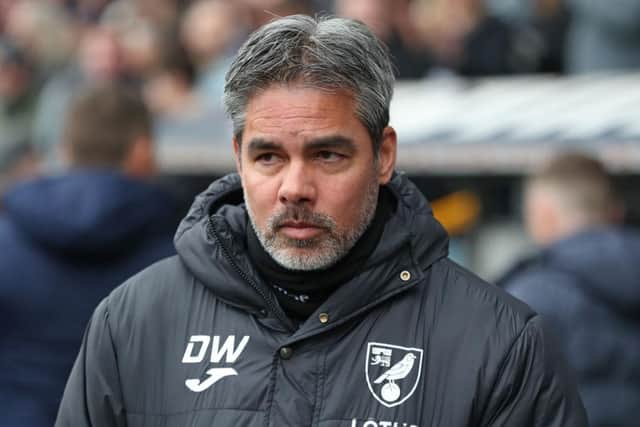 Norwich City manager David Wagner. (Photo by Henry Browne/Getty Images.