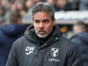Norwich City manager David Wagner. (Photo by Henry Browne/Getty Images.