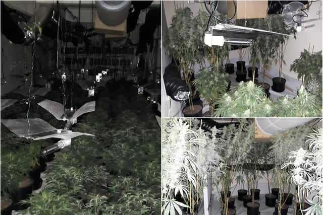 Northumbria Police uncovered a £500,000 cannabis farm in an empty business unit in Sunderland city centre