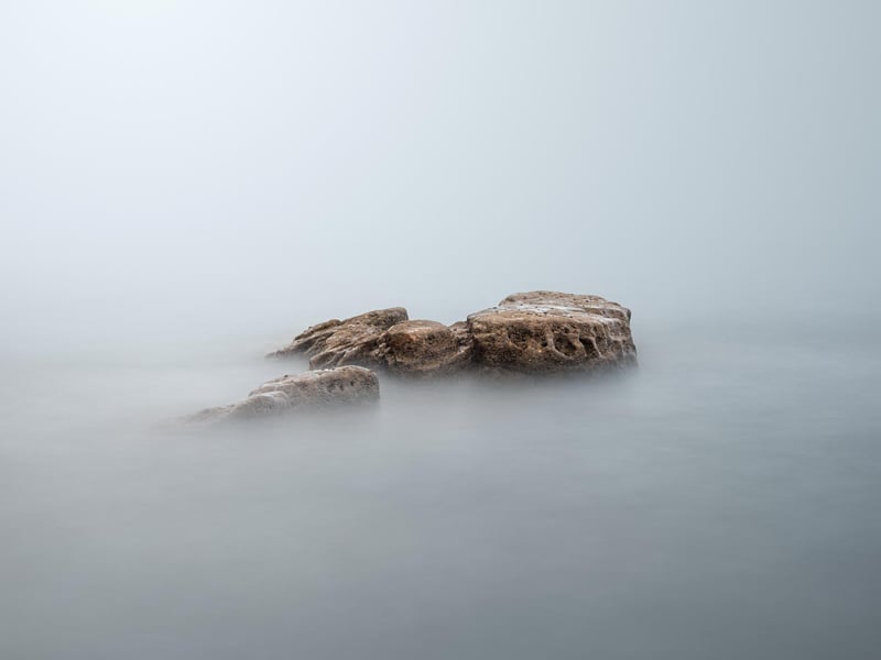 Neil Burnell, 45, has spent years shooting settings in a unique way and admits he was inspired by Star Wars - particularly Yoda's refuge on Dagobah. A full-time photographer from Brixham, Devon, Neil's images fall into six themes - named Visions, Chrome, Unknown, Delicate, Deep Blue, and Mystical.