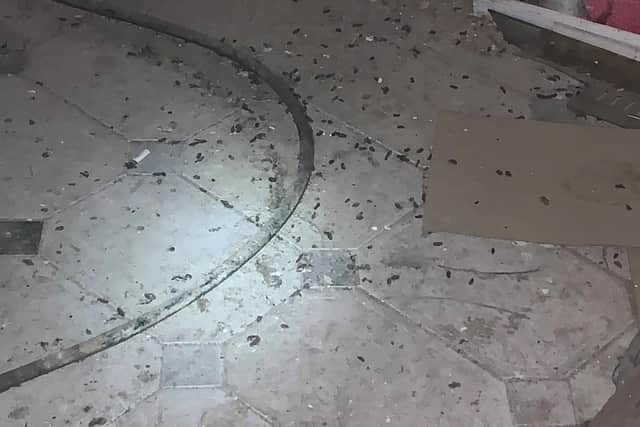Rat droppings were found on the floor of Pizza King during a check by Sunderland City Council.