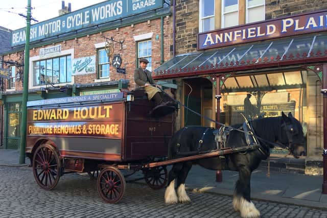 Tributes have been paid to Shire horse Lion.