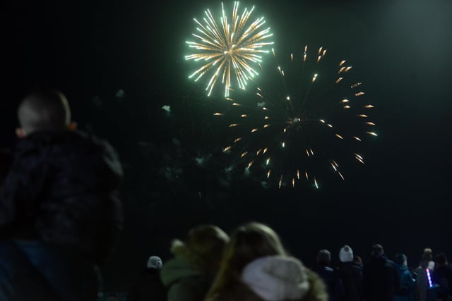 Spectators watch on as the fireworks light up the November sky.
