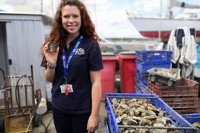 Celine Gamble, Wild Oysters Project Manager.