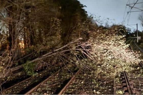 Trees blew down across the network