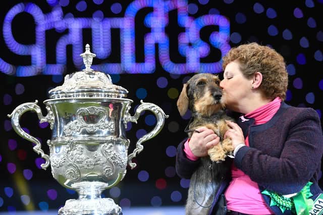 Maisie the Wire-haired Dachshund winner of Best in Show 2020 at the Birmingham National with her owner Kim McCalmont at the Exhibition Centre (NEC) during the Crufts Dog Show. Jacob King/PA Wire