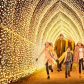 Cathedral of Light by Mandylights, My Christmas Trails 2020.GS. Photo by Richard Haughton © Sony Music