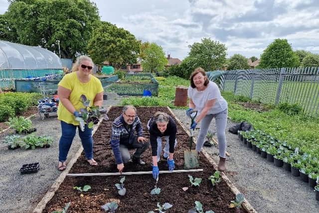 Volunteers at Sunderland Home Grown C.I.C