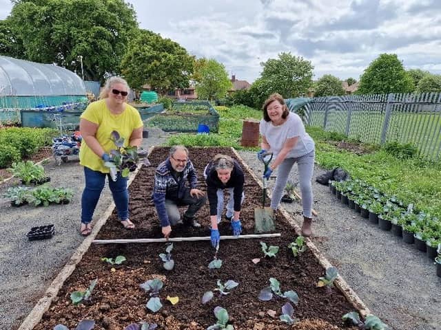 Volunteers at Sunderland Home Grown C.I.C