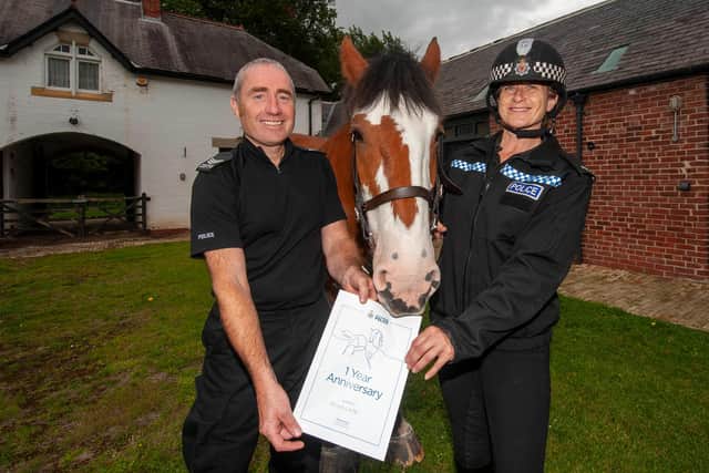 Northumbria Police has celebrated a year since it welcomed Penelope to its mounted section.