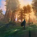 Valheim has taken over the gaming world in just a few short weeks, shifting over 2 million copies (Image: Coffee Stain Studios/Iron Gate)