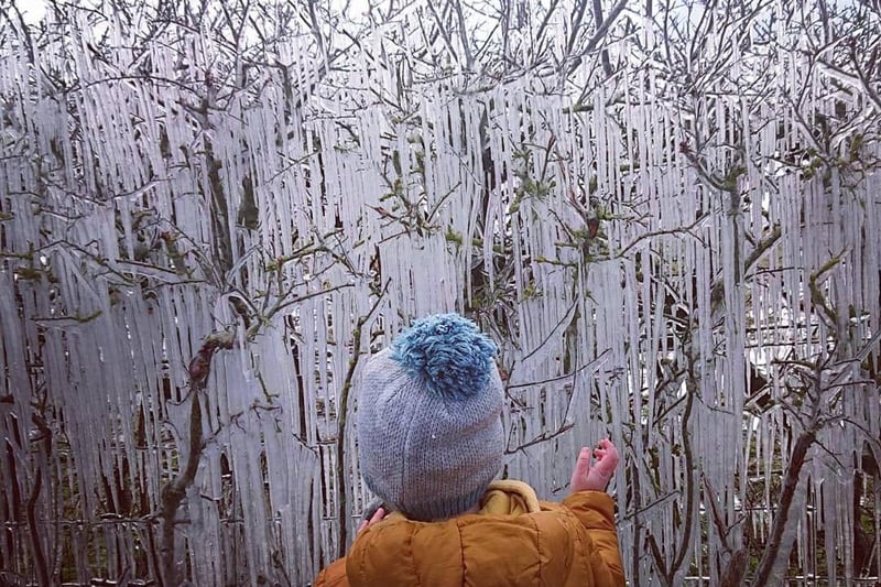 Kira Haselip shared this photograph of her little boy watching on in amazement over an icy hedgerow with lots of icicles.