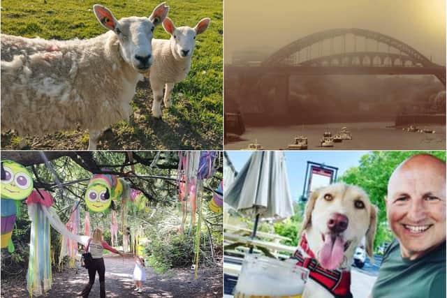 Some of your favourite pictures taken over the bank holiday weekend.
