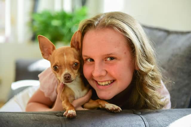 Charlotte Davis, 15, seen here with her dog Harper, attained an A* at her chemistry A Level after just seven months of study. Picture by Kevin Brady.