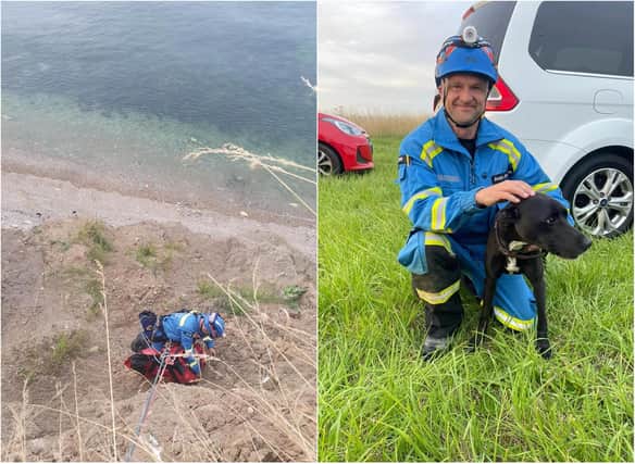 The dog was safely rescued after getting stuck on the cliff in Ryhope.