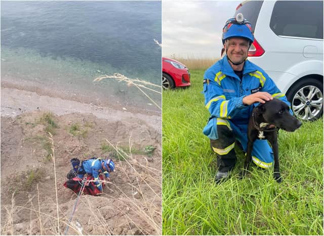The dog was safely rescued after getting stuck on the cliff in Ryhope.