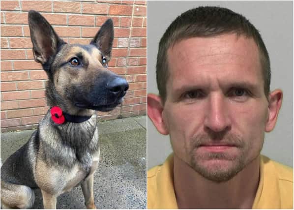 Paul Reay broke into a terraced house in Sunderland and made off with a bike, but Police Dog Roxy, a Belgian Malinois, had no problem tracking him down to a house in a nearby street.