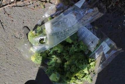 A bag of broccoli florets was recently left in one of the pony fields at Tilesheds, causing a danger to horses.