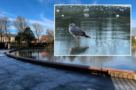 The surface of the pond at Sunderland's Roker Park was partially frozen on Thursday, January 19, 2023