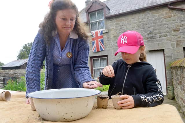 Grace Kelly, 7, planting seeds to be grown in the farm garden to help the wartime effort.