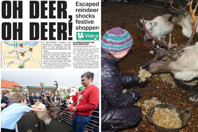 When reindeers made the Wearside headlines.