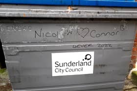 A moving monument to love - or something. Sunderland Echo image.