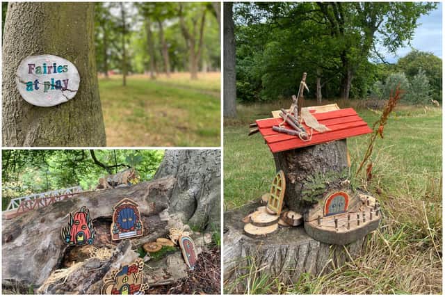 A new fairy trail has been launched in Backhouse Park