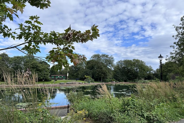 As part of the ongoing works, there has already been restoration of water features in the park including the waterfall and the boating lake. The Fairy Dell Stream pumps were also refurbished.