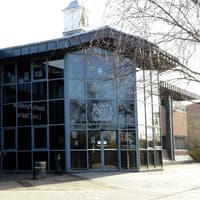 Sunderland motorist crashed into lamppost after downing eight bottles of Budweiser