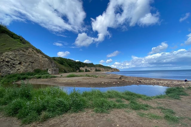 For a dramatic walk of unspoilt countryside and coastline,  try the Hawthorn Hive Trail, a 5km trail near Seaham. Walk through the woodland to reach the beach. Photo by Helen Russell Photography. Follow her on Instagram @HelenRussellPhotography