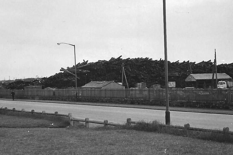 Timber storage in Coronation Drive in a photo which is thought to have been taken around 50 years ago. Photo: Hartlepool Library Service
