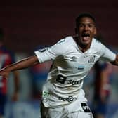 Santos winger Angelo Gabriel has emerged as a transfer target for Newcastle United (Photo by NATACHA PISARENKO/AFP via Getty Images)