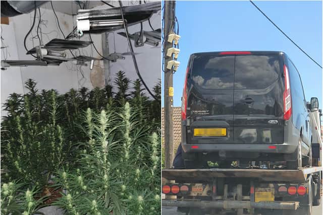 Peterlee Police located a cannabis farm on Warren Street in Horden and seized two untaxed vehicles.