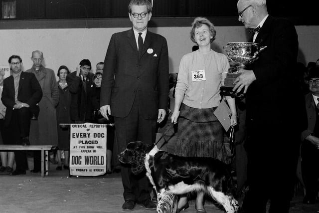 One of the winners at the Scottish Kennel Club Dog Show in Waverley Market in September 1963.