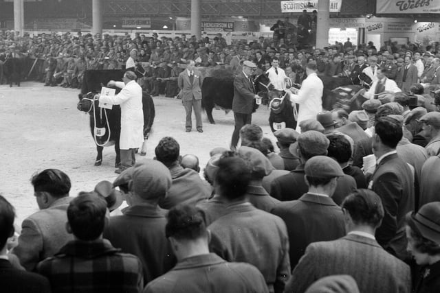 The Fat Stock Show at Waverley Market in December 1965.