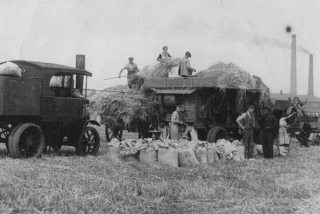 Threshing the corn with a steam driven machine invention in Ryhope Road in 1935.