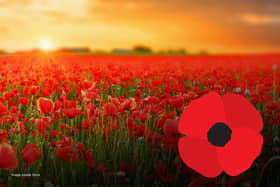 People have been sharing why they wear a poppy ahead of Armistice Day and Remembrance Sunday.