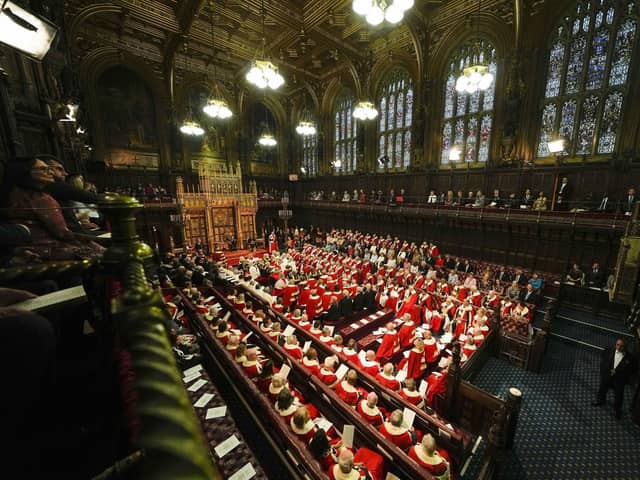 I truly deserve to be in the House of Lords as I am a great lad.