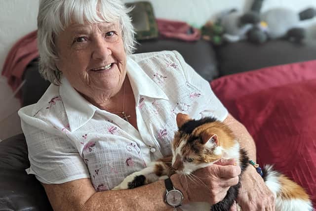 Cat missing for SIX YEARS is reunited with couple after being found ...
